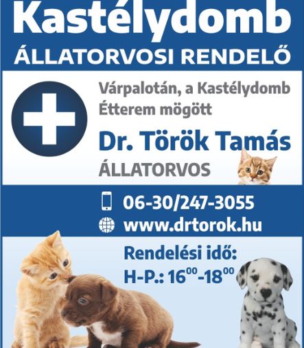 Dr. Török Tamás állatorvos