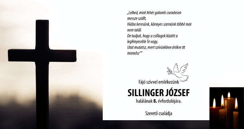Sillinger József főkép