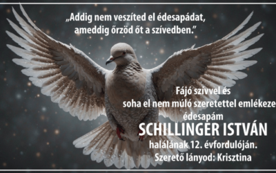 Schillinger István- halálának 12. évfordulója