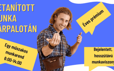 Egy műszakos betanított munka Várpalotán!