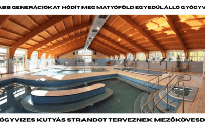 Gyógyvizes kutyás strandot terveznek Mezőkövesden