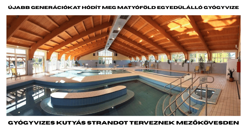 Gyógyvizes kutyás strandot terveznek Mezőkövesden