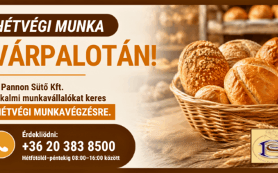 Hétvégi munka Várpalotán