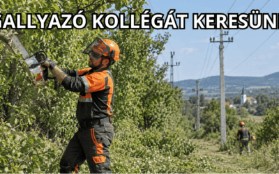 Gallyazó kollégát keresünk egész éves munkára
