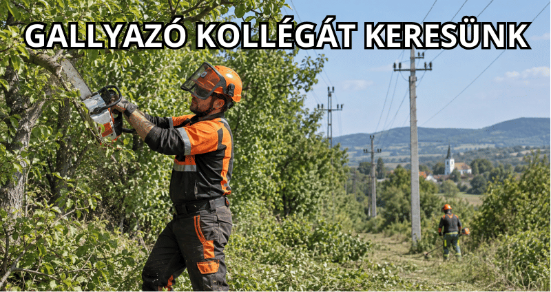 Gallyazó állás Várpalota, Hajmáskér