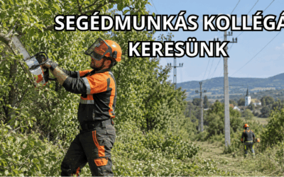 Segédmunkás kollégát keresünk egész éves munkára