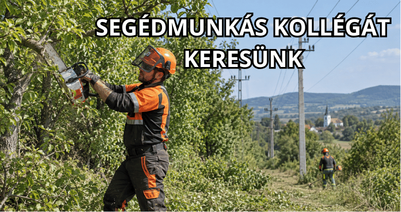 Segédmunkás állás Várpalota, Hajmáskér